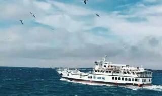 向往的大海 向往的大海